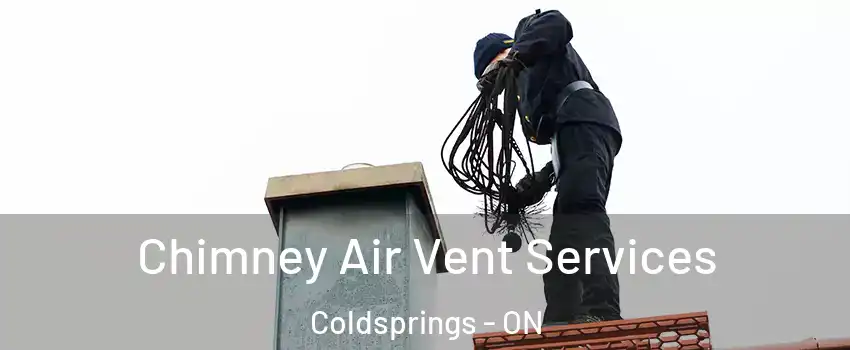 Chimney Air Vent Services Coldsprings - ON
