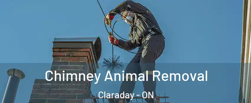 Chimney Animal Removal Claraday - ON