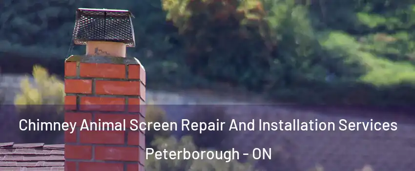 Chimney Animal Screen Repair And Installation Services Peterborough - ON