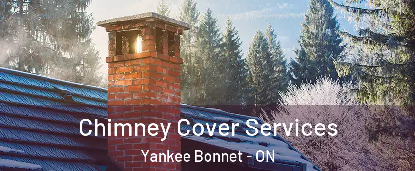 Chimney Cover Services Yankee Bonnet - ON