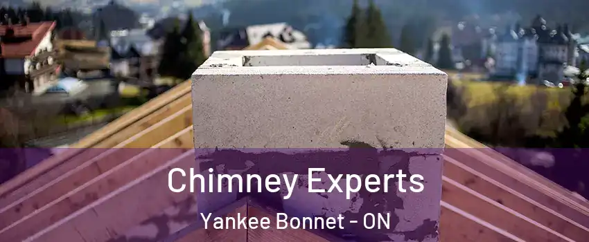 Chimney Experts Yankee Bonnet - ON