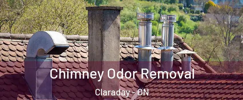 Chimney Odor Removal Claraday - ON