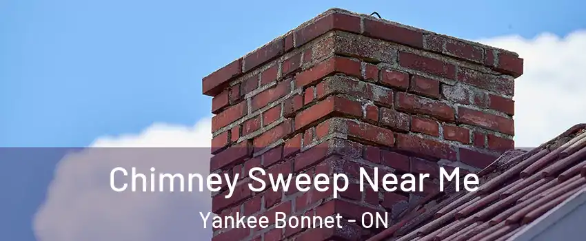 Chimney Sweep Near Me Yankee Bonnet - ON