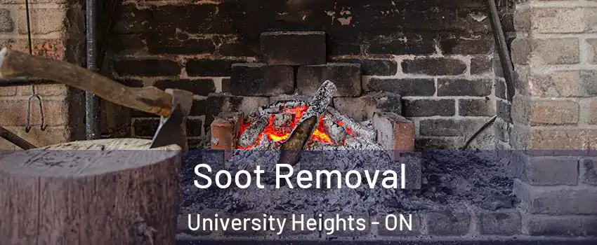 Soot Removal University Heights - ON
